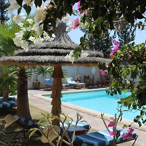 Guest house Sanam, Essaouira